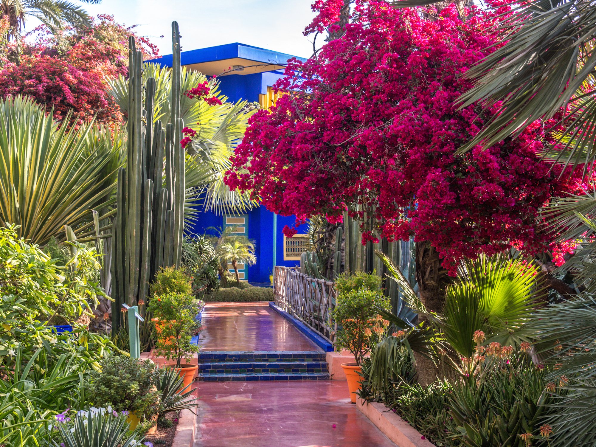 Jardin Majorelle, un siècle d’émerveillement et de partage au cœur de Marrakech