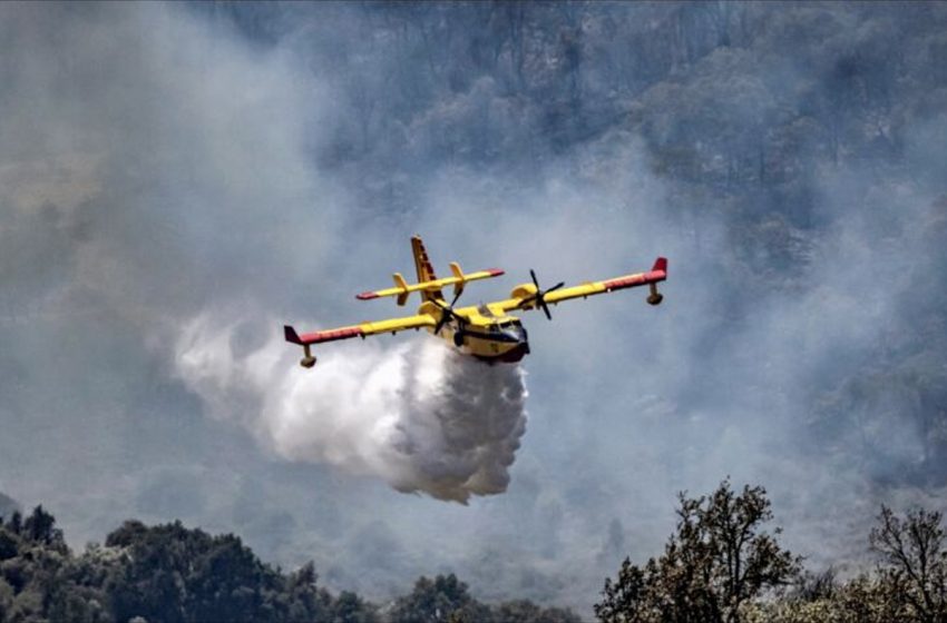 Incendie de forêt à Taza: 30 hectares ravagés