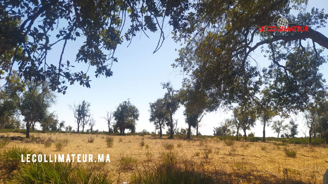 هذه توقعات أحوال الطقس اليوم الجمعة بالمغرب