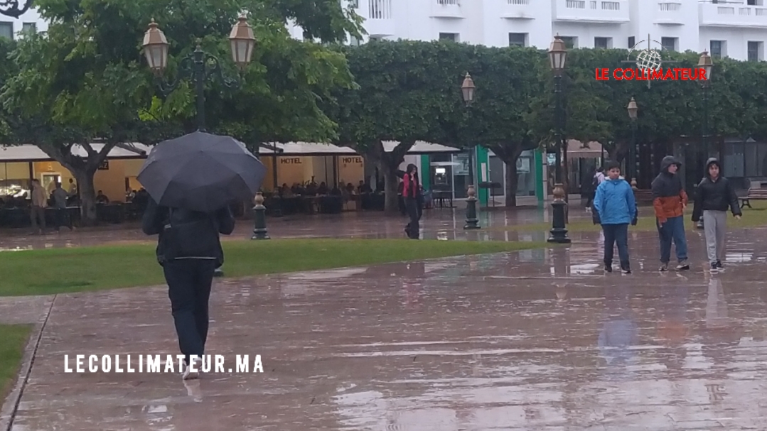 La météo de ce vendredi 12 décembre: Temps pluvieux avec pluies et averses avec risque d’orages