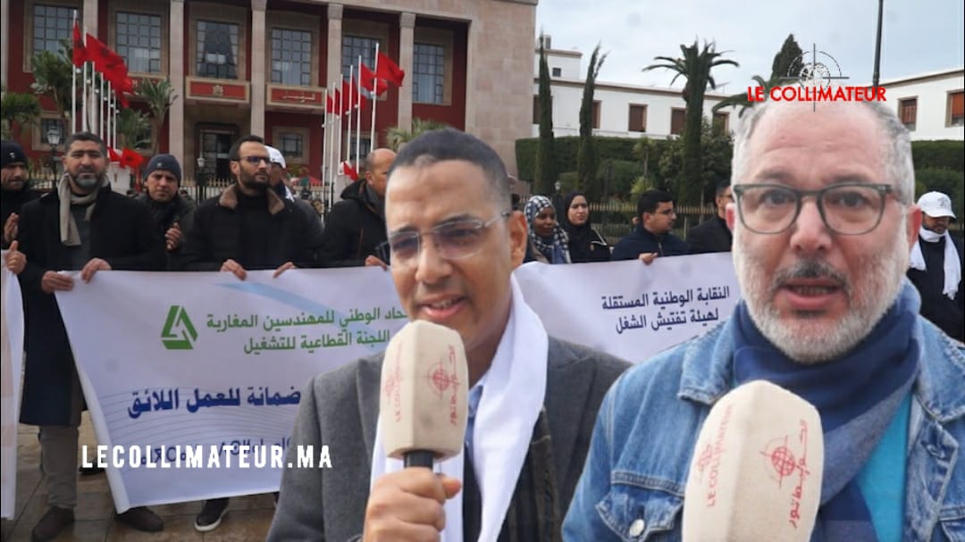 مفتشو الشغل يطالبون الحكومة بتحسين أوضاعهم المهنية \فيديو