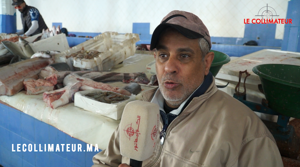 Très cher poisson…