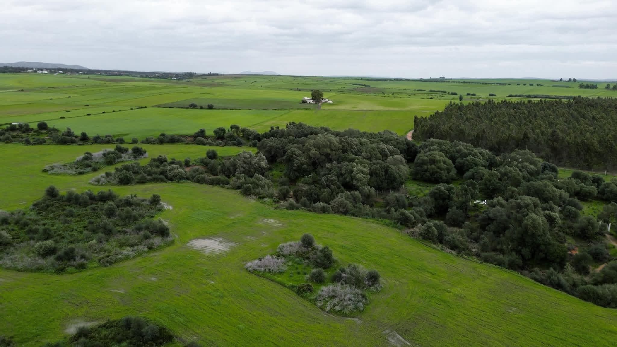 طقس مستقر مع انخفاض درجات الحرارة اليوم الخميس بالمغرب