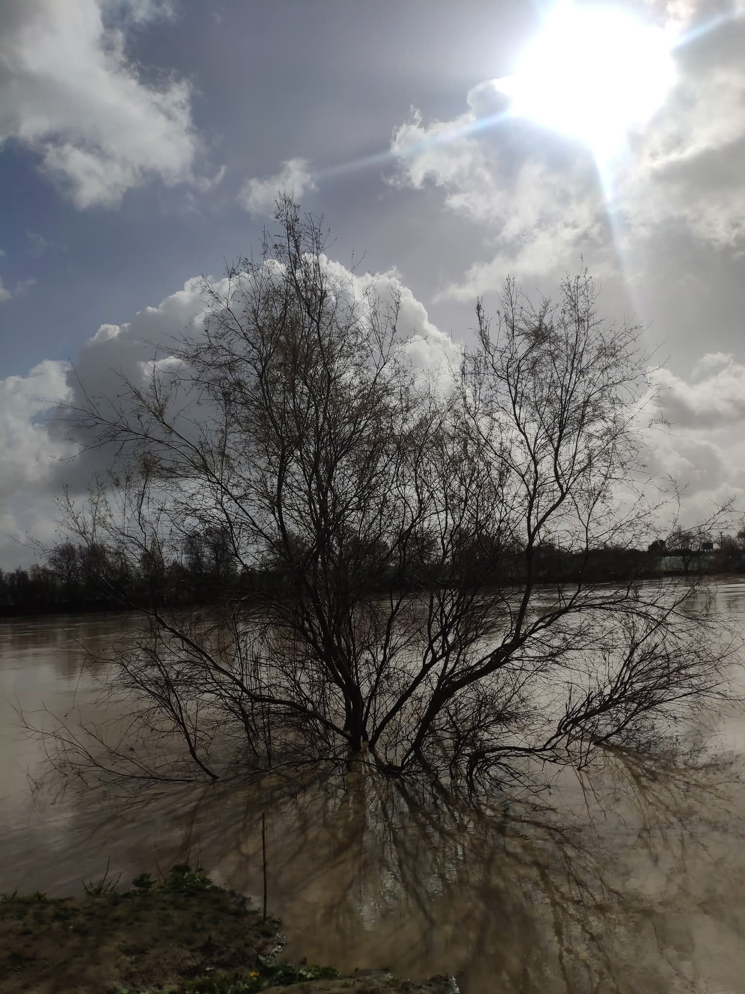 La météo de ce mercredi 11 février: Nuages bas denses avec bruine ou formations brumeuses
