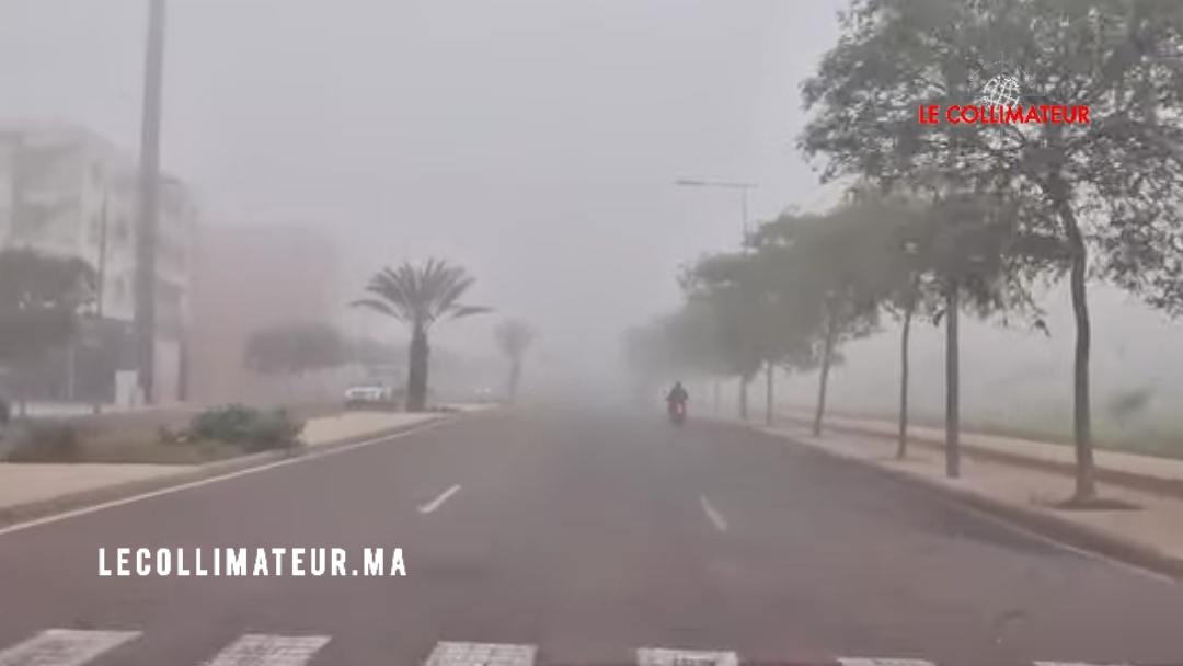 La météo de ce jeudi 12 février: Nuages, brume et bruine