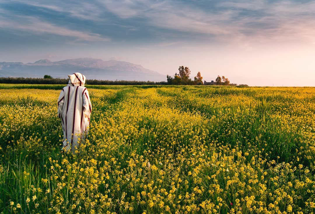 La météo de ce dimanche 15 février: Temps stable avec ciel assez dégagé sur l’ensemble du Royaume
