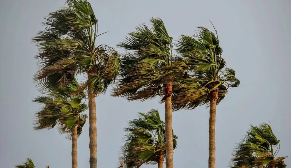 Alerte aux fortes rafales de vent avec tempête de sable ou de poussières
