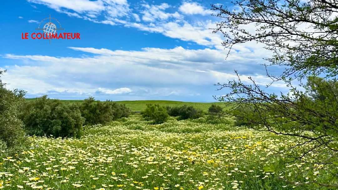 La météo de ce mardi 24 mars: Ciel pluvieux et neigeux
