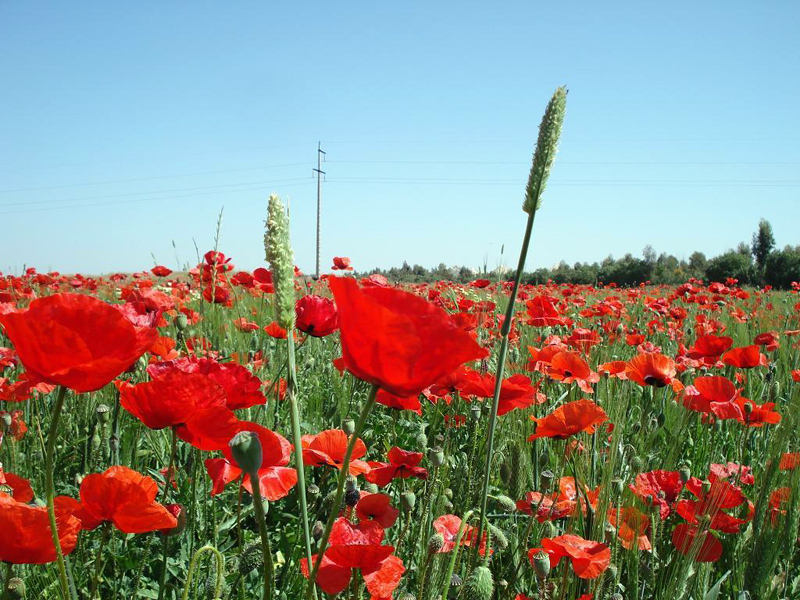 La météo de ce jeudi 12 mars: Température diurne en hausse générale
