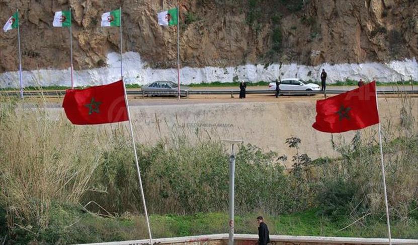 Allergie des voisins aux couleurs rouge et vert : chronique d’une “marocophobie chromatique aiguë”