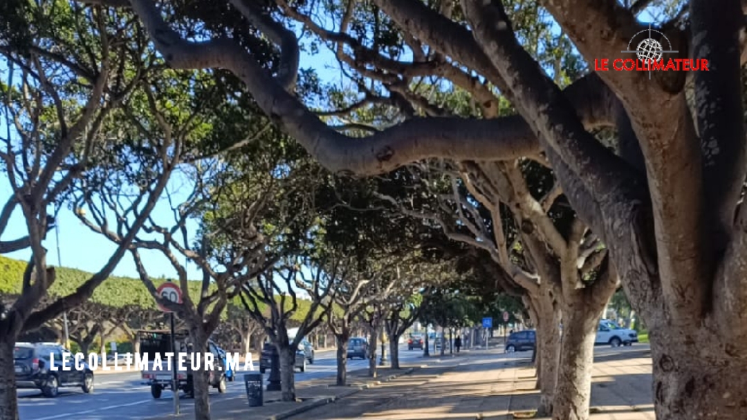 هذه توقعات أحوال الطقس اليوم السبت بالمغرب