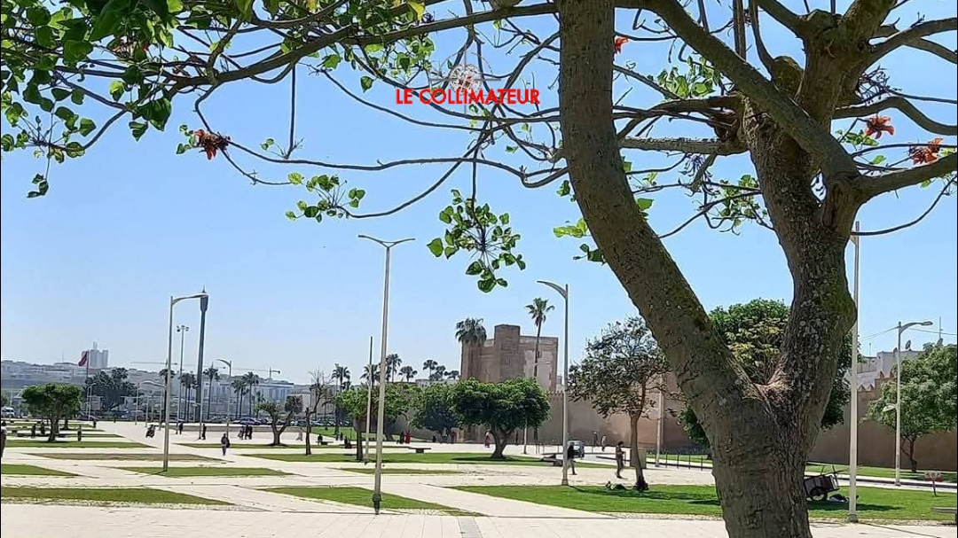 La météo de ce mercredi 29 avril: Nuages avec ondées éparses par endroits