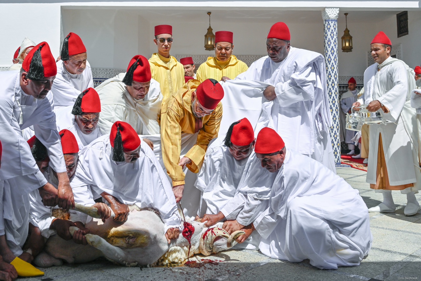SM le Roi, Amir Al-Mouminine, accomplit la prière de l’Aïd Al-Adha à la mosquée “Ahl Fès” à Rabat et reçoit les vœux en cette heureuse occasion [Vidéo]