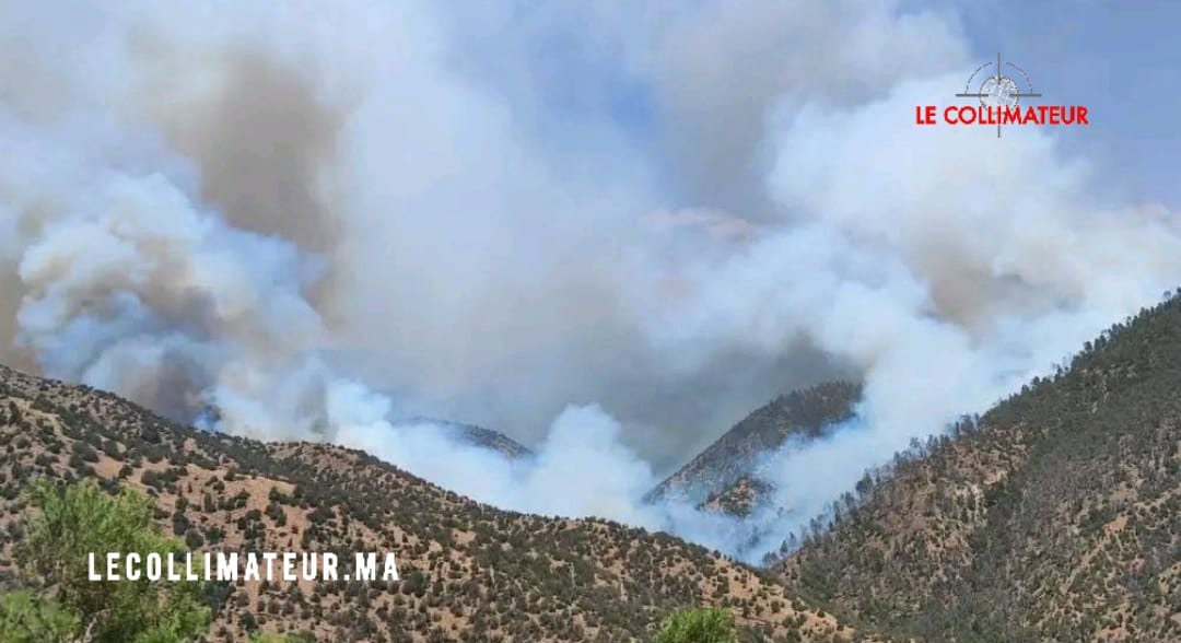 « Le feu approche de nos maisons »: le cri d&rsquo;alerte des habitants d&rsquo;Ouneine (province de Taroudant)